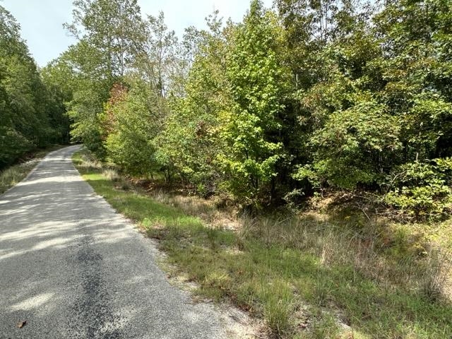 6 Butler Road Pinson, TN 38366 - Photo 11 of 24 View of street with a view of trees
