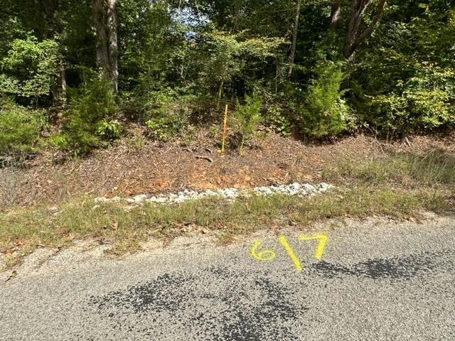 6 Butler Road Pinson, TN 38366 - Photo 12 of 24 View of undeveloped land