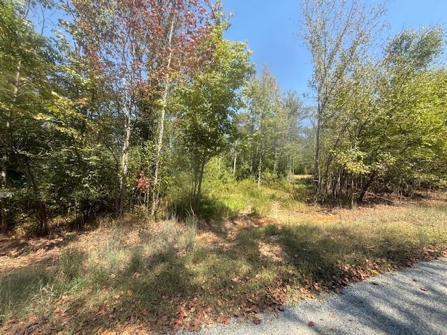 6 Butler Road Pinson, TN 38366 - Photo 13 of 24 View of tree filled area