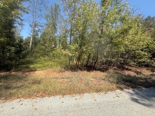 6 Butler Road Pinson, TN 38366 - Photo 15 of 24 View of local wilderness