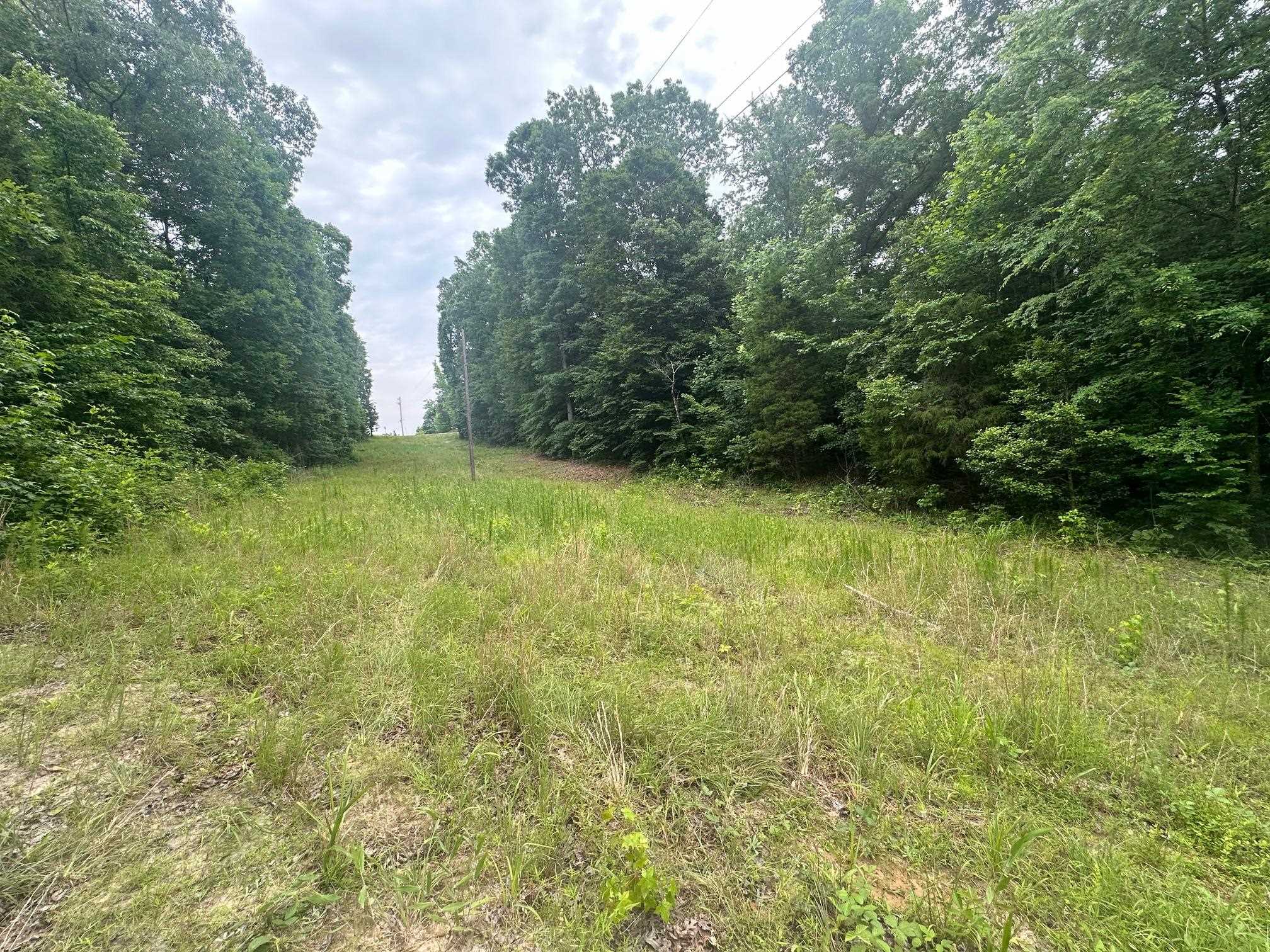 6 Butler Road Pinson, TN 38366 - Photo 17 of 24 View of tree filled area