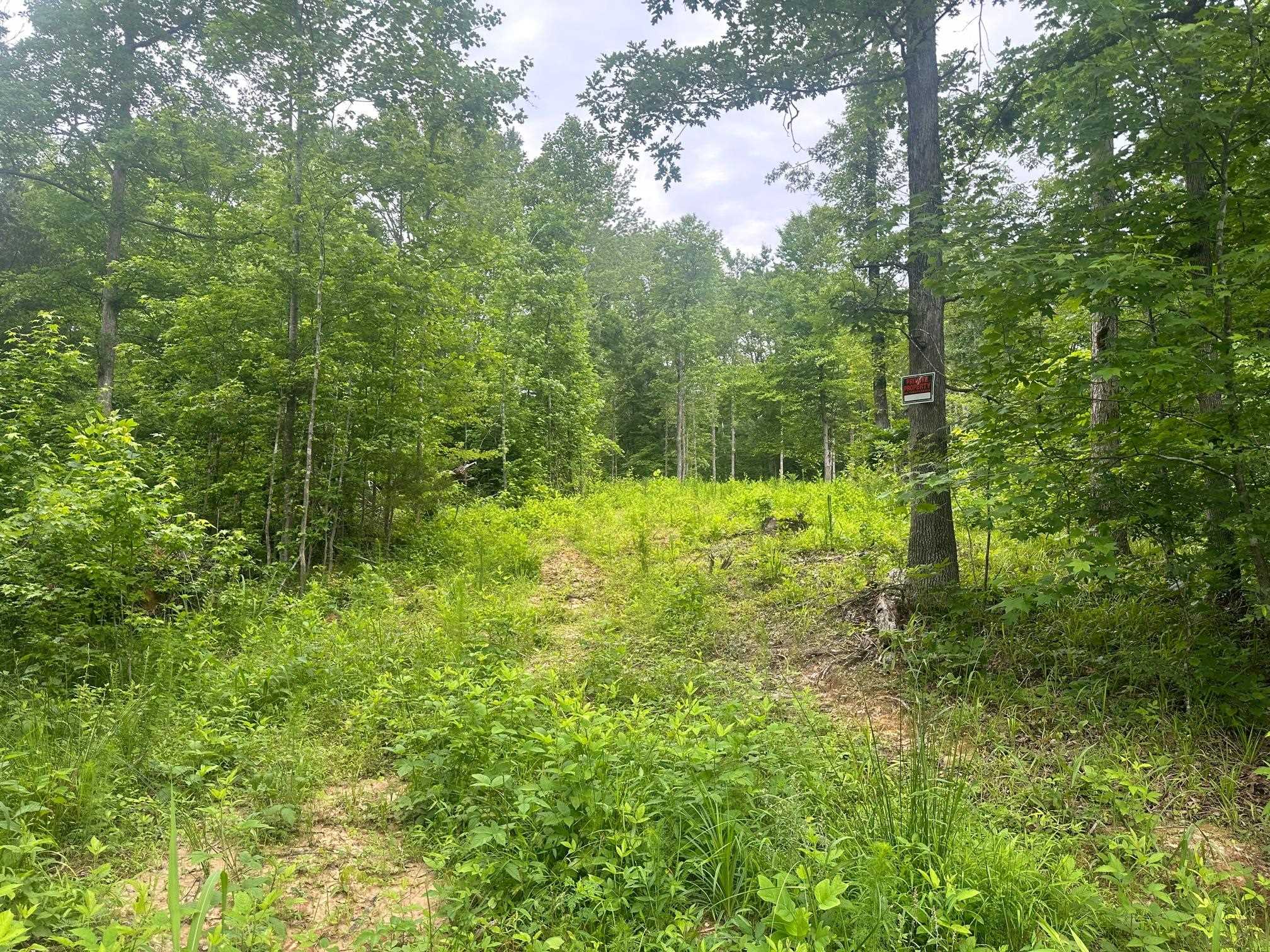 6 Butler Road Pinson, TN 38366 - Photo 18 of 24 View of tree filled area