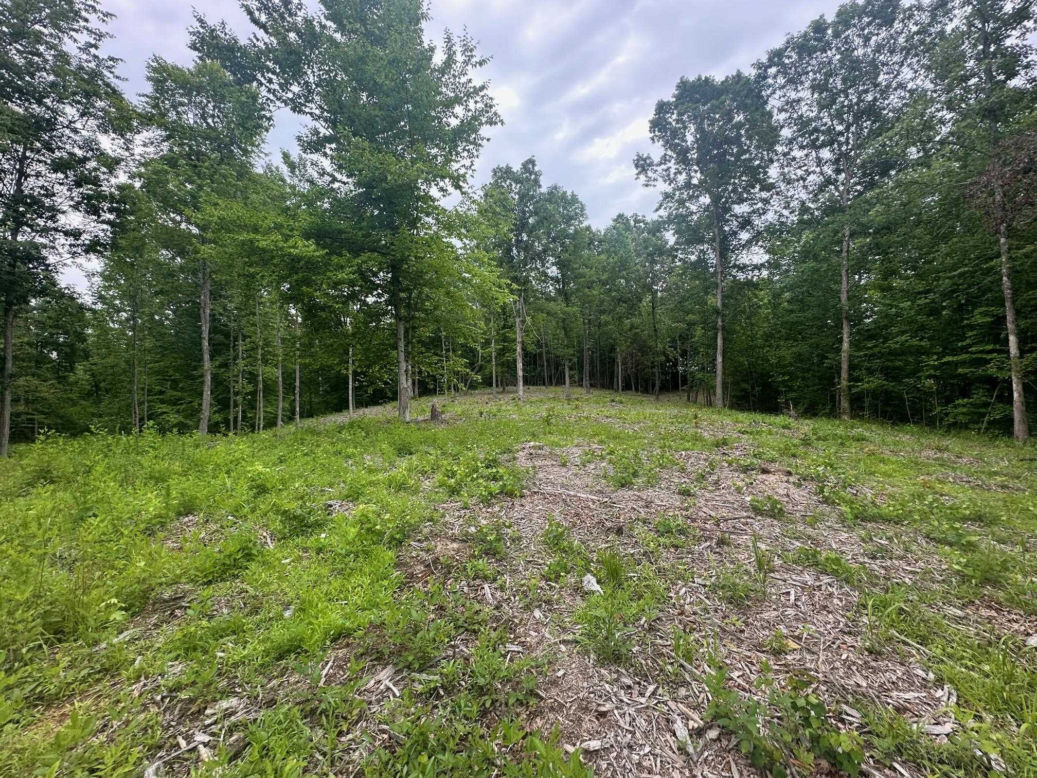 6 Butler Road Pinson, TN 38366 - Photo 20 of 24 View of tree filled area