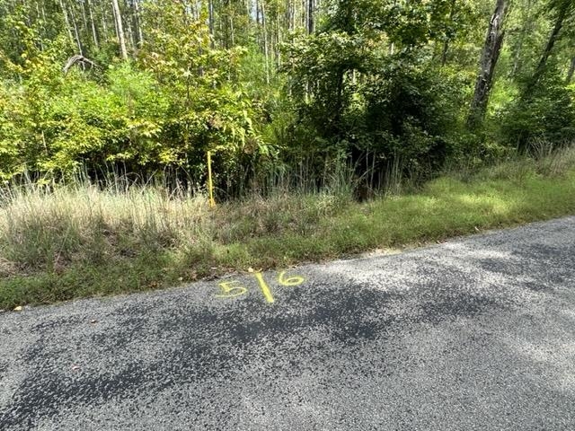 6 Butler Road Pinson, TN 38366 - Photo 2 of 24 View of asphalt street featuring a view of trees