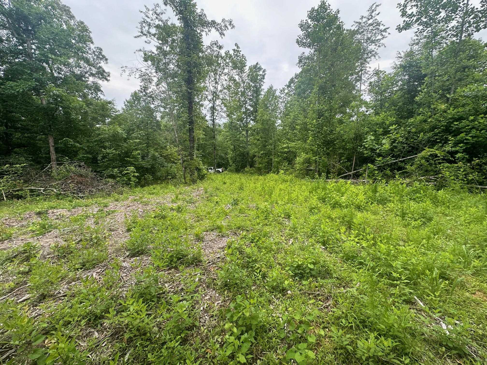 6 Butler Road Pinson, TN 38366 - Photo 21 of 24 View of wooded area