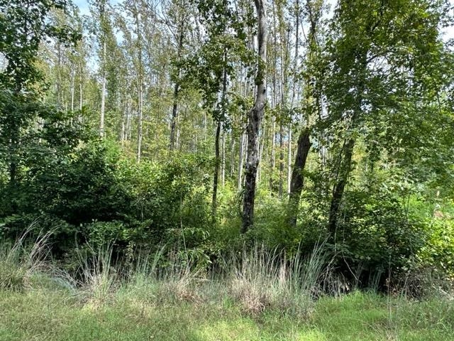 6 Butler Road Pinson, TN 38366 - Photo 3 of 24 View of nature