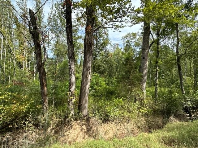 6 Butler Road Pinson, TN 38366 - Photo 4 of 24 View of wooded area