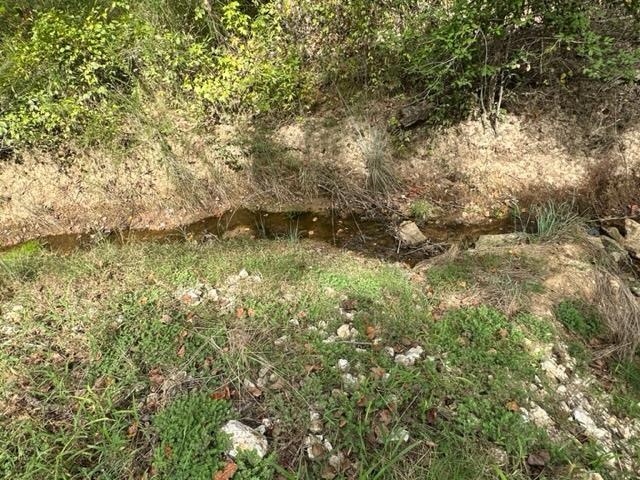 6 Butler Road Pinson, TN 38366 - Photo 5 of 24 View of undeveloped land