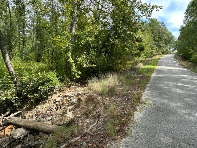 6 Butler Road Pinson, TN 38366 - Photo 7 of 24 View of road