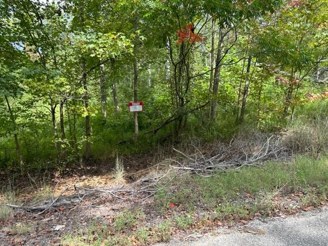 6 Butler Road Pinson, TN 38366 - Photo 9 of 24 View of nature