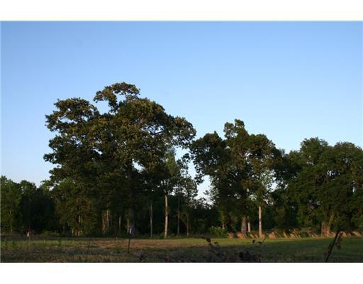 287 Summerour Road Lucedale, MS 39452 - Photo 3 of 16 Additional Photo