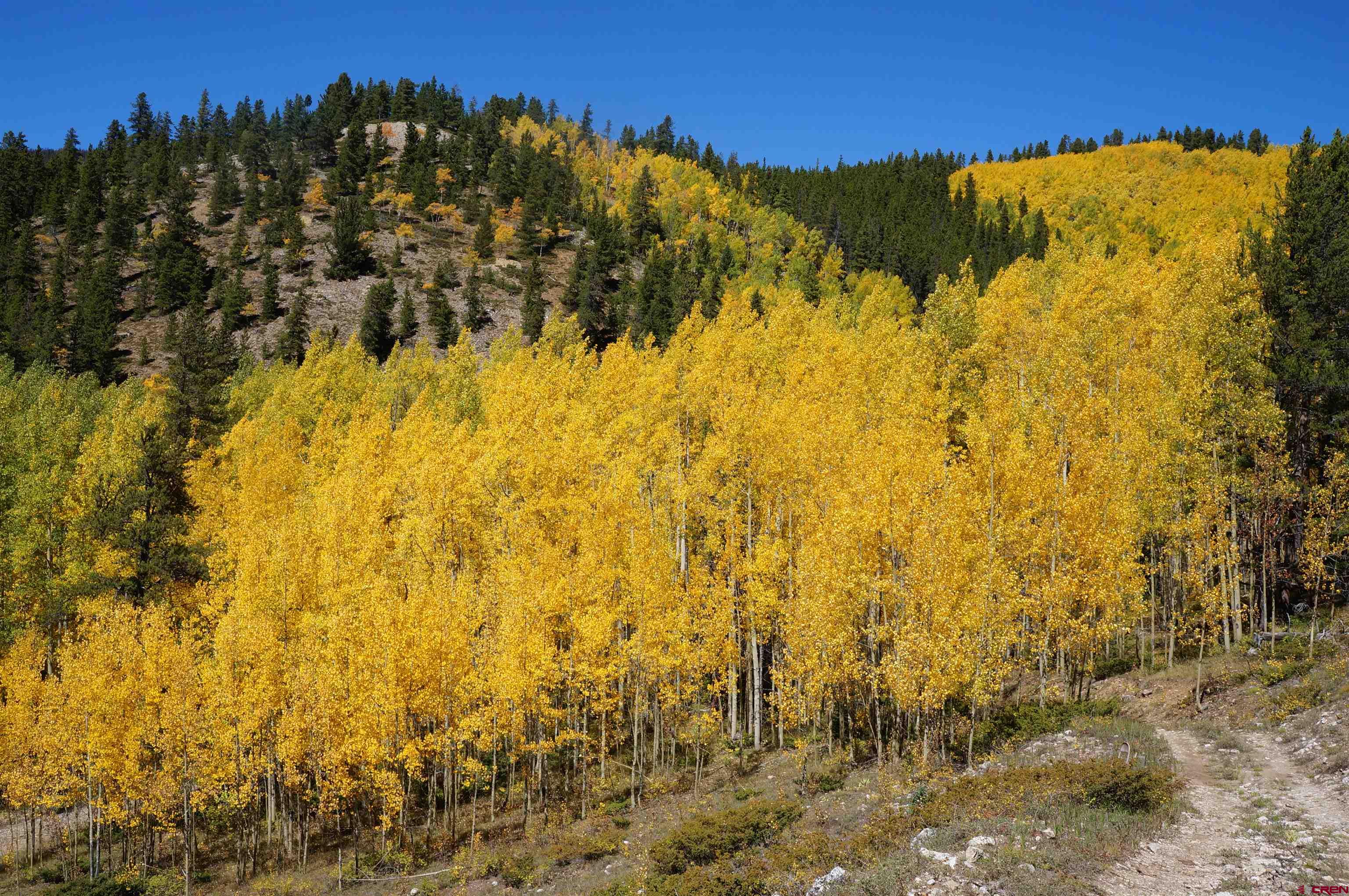Tbd Erie Mine Road Gunnison, CO 81248 - Photo 4 of 6