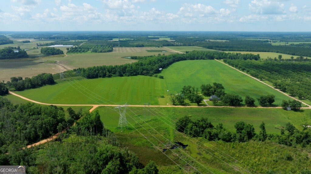 1034 Cecil Tyre Road Bristol, GA 31518 - Photo 60 of 63