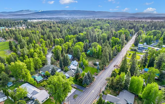 a view of a garden with plants