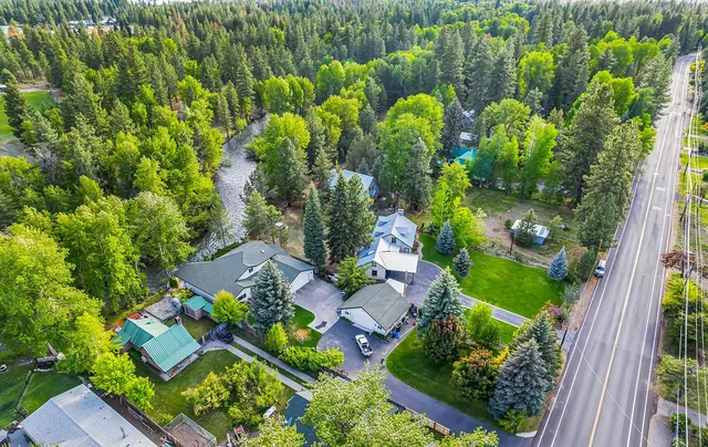 a view of a garden with plants
