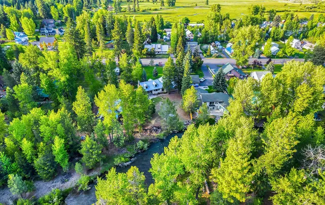 a view of a pathway both side of yard