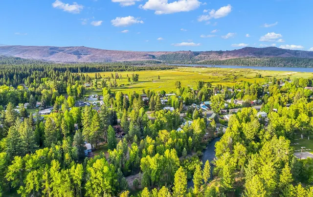 a view of a garden with plants