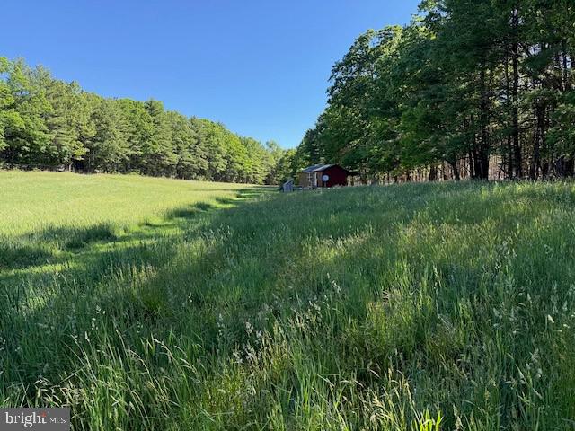 184 Skiles- Pitsenbarger Road Franklin, WV 26807 - Photo 30 of 39 Serene meadow embraced by trees.