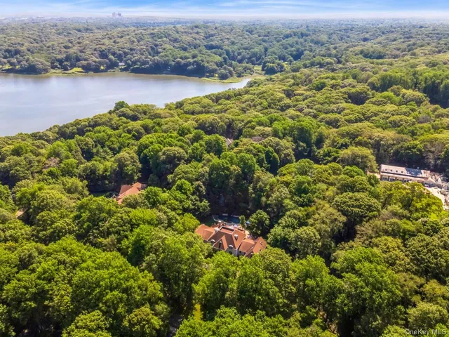 a view of a lake with a mountain