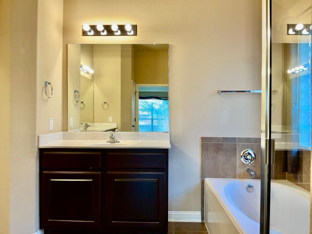3580 Rosalina Loop Round Rock, TX 78665 - Photo 19 of 27 a bathroom with a sink and mirror
