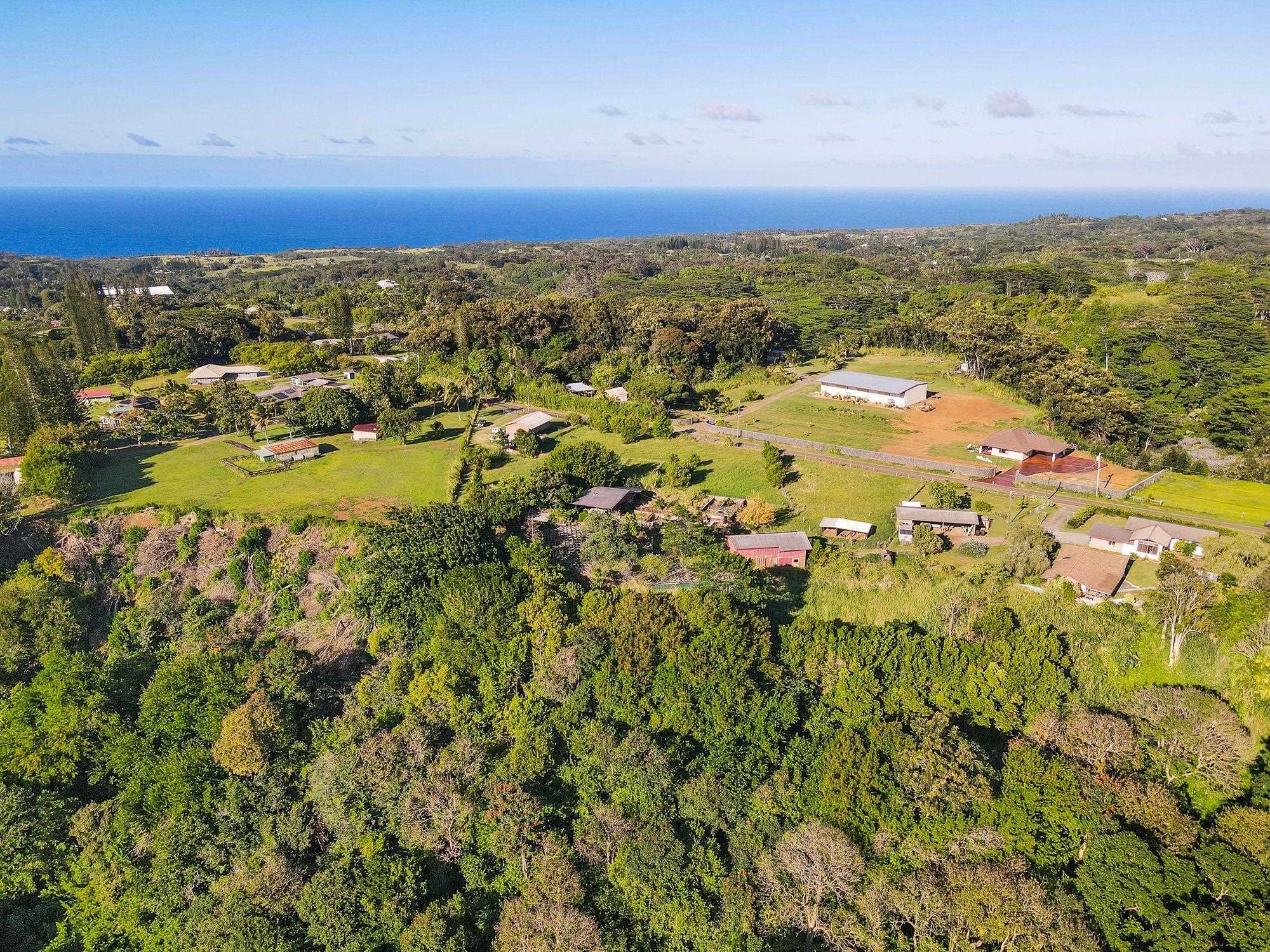 1000 West Kuiaha Road Haiku, HI 96708 - Photo 28 of 30 Gallery Image 28