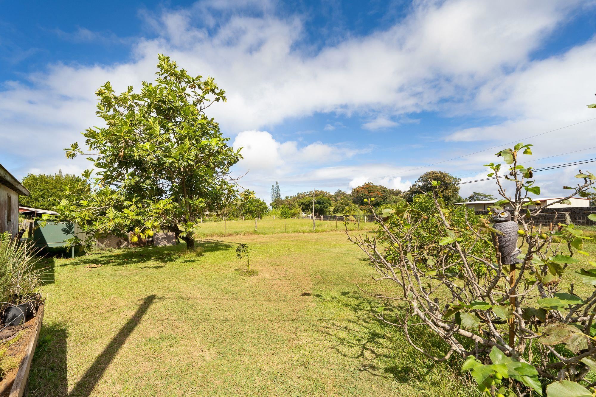 1000 West Kuiaha Road Haiku, HI 96708 - Photo 9 of 30 Gallery Image 9