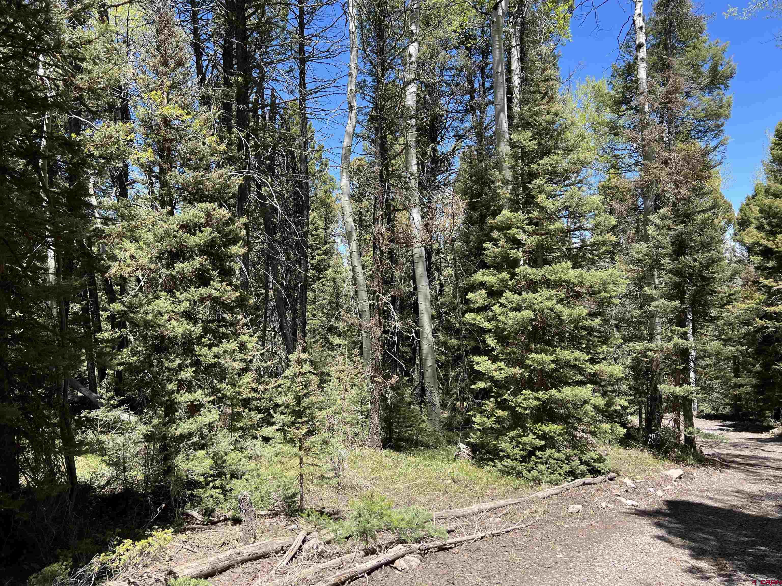 423 Rim Road Cimarron, CO 81220 - Photo 12 of 19 a view of a pathway of a building