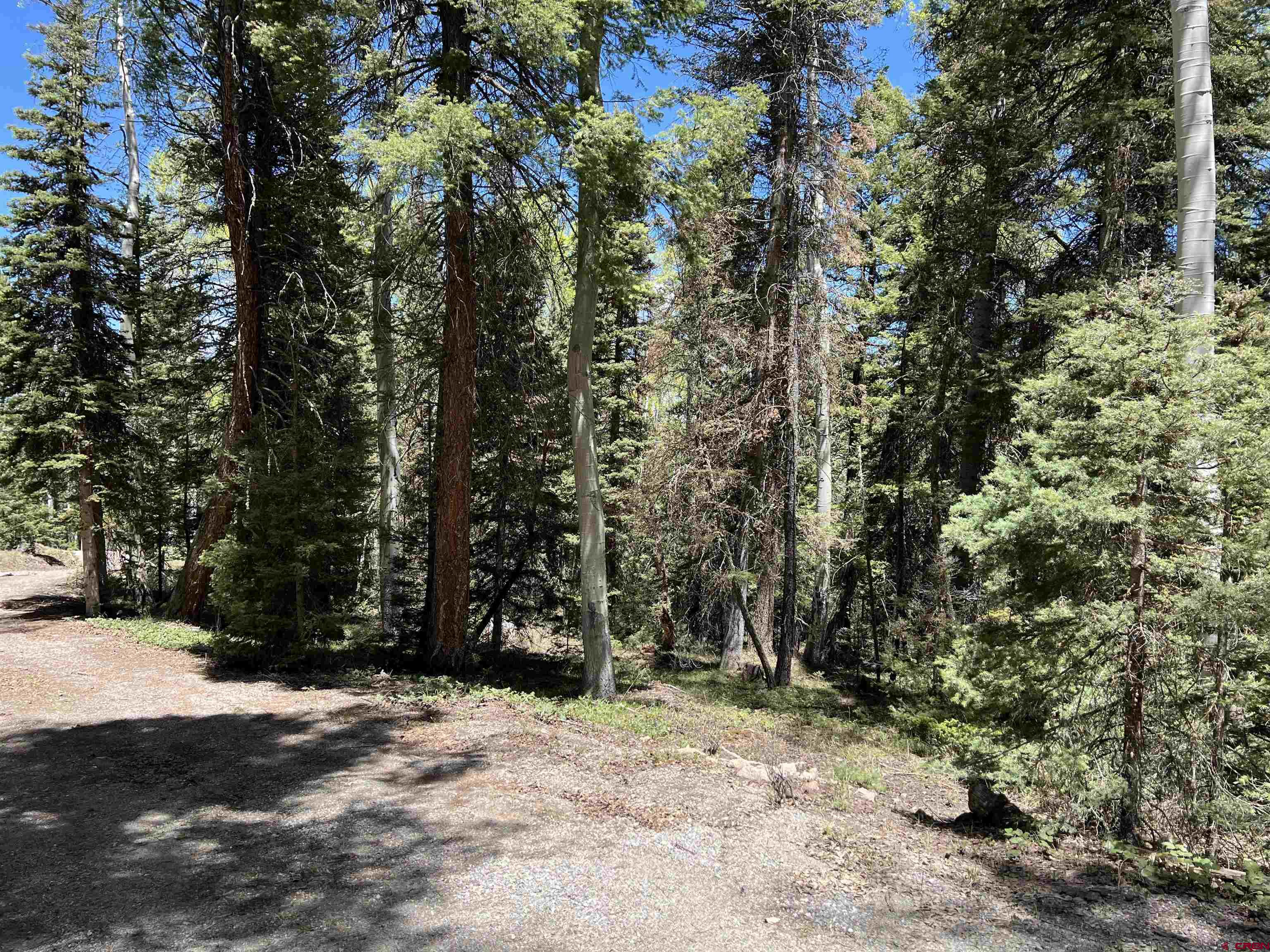 423 Rim Road Cimarron, CO 81220 - Photo 15 of 19 a view of road and trees