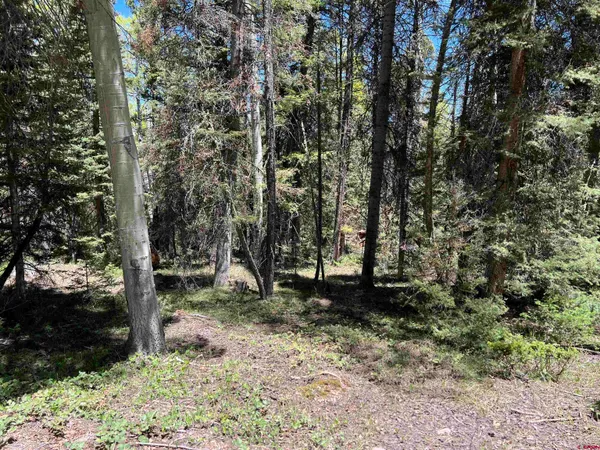 a view of a garden with trees