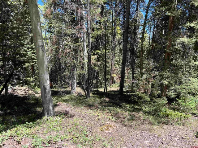 a view of a garden with trees