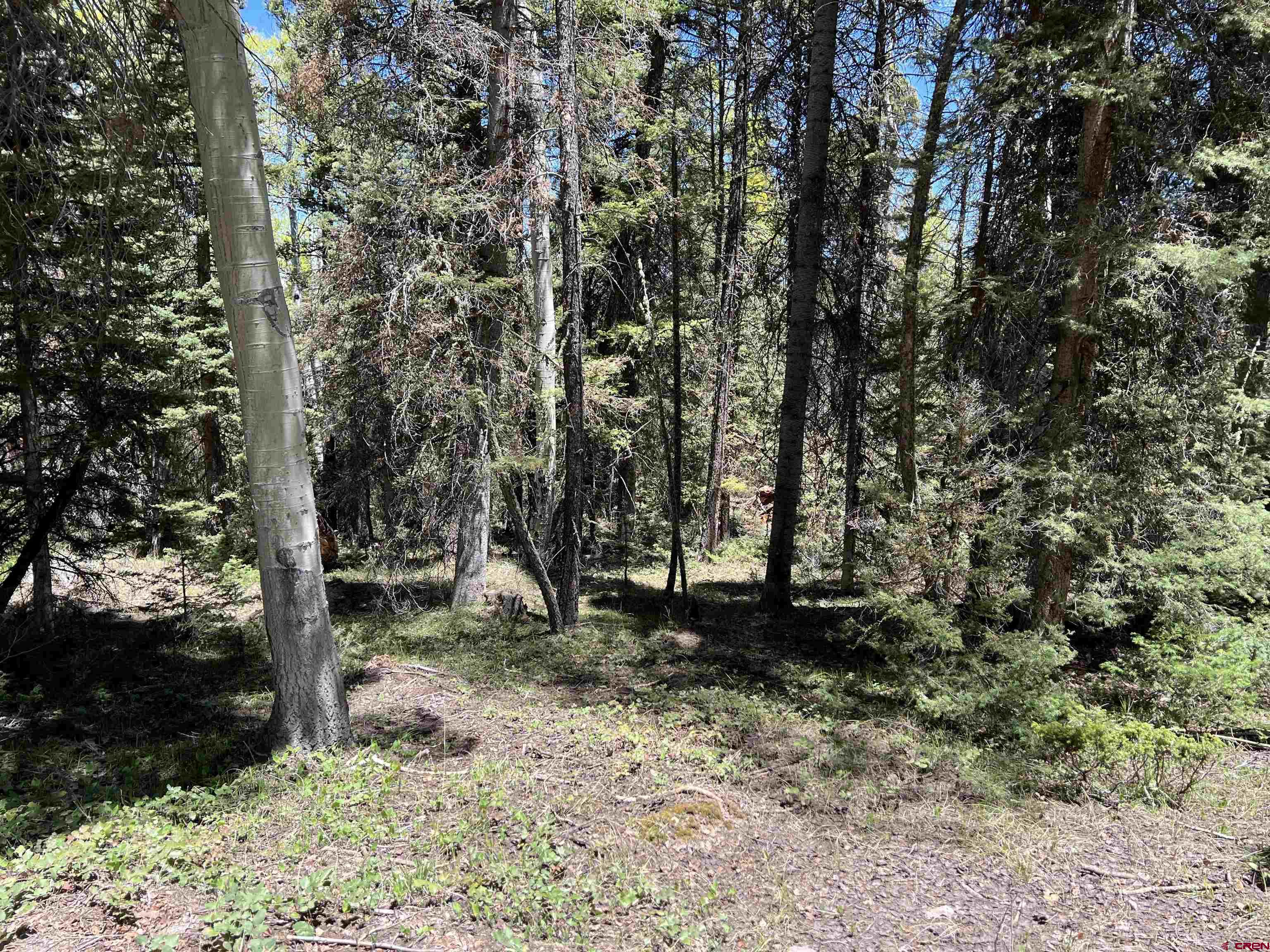 423 Rim Road Cimarron, CO 81220 - Photo 16 of 19 a view of outdoor space and yard