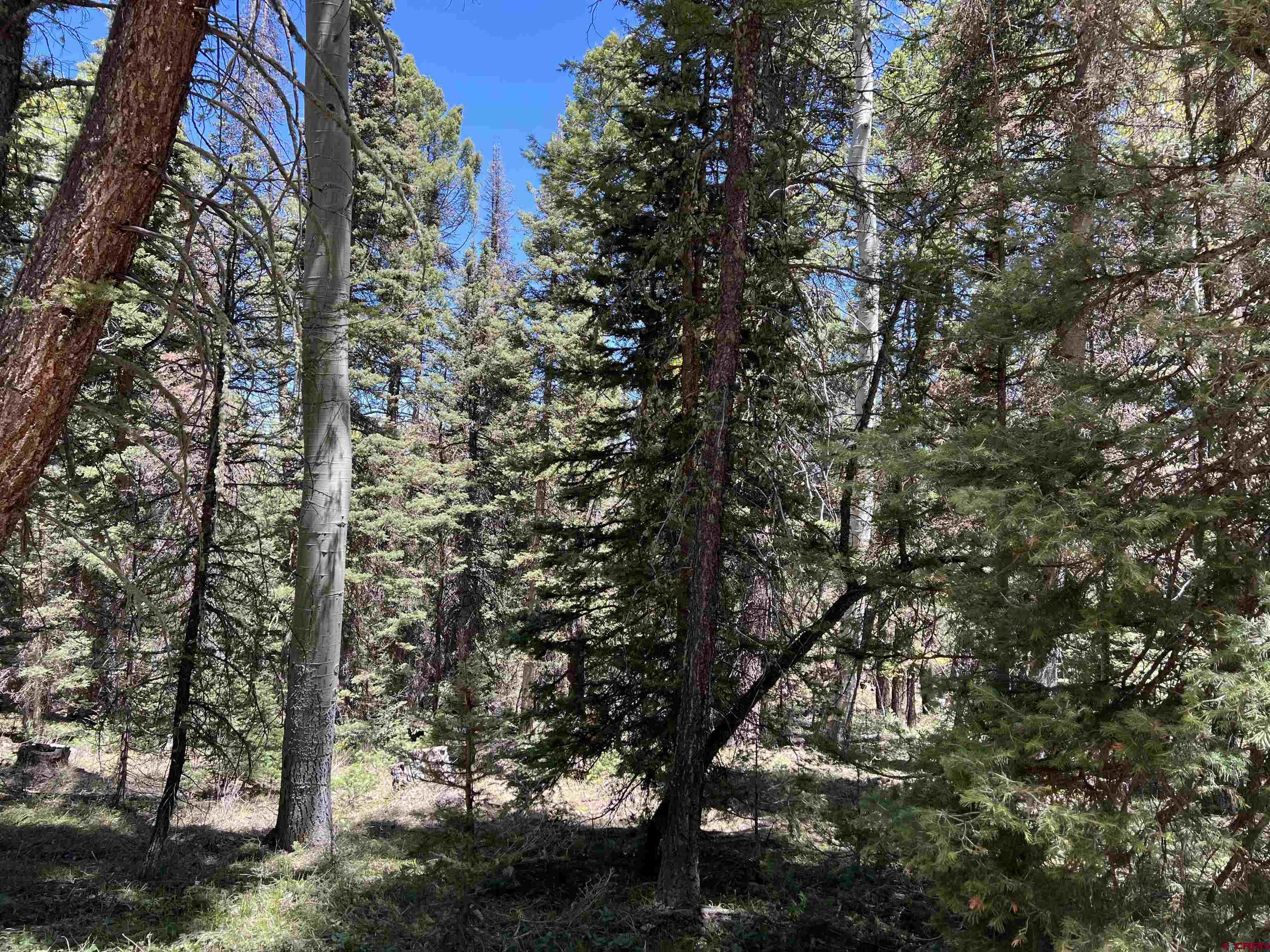 423 Rim Road Cimarron, CO 81220 - Photo 18 of 19