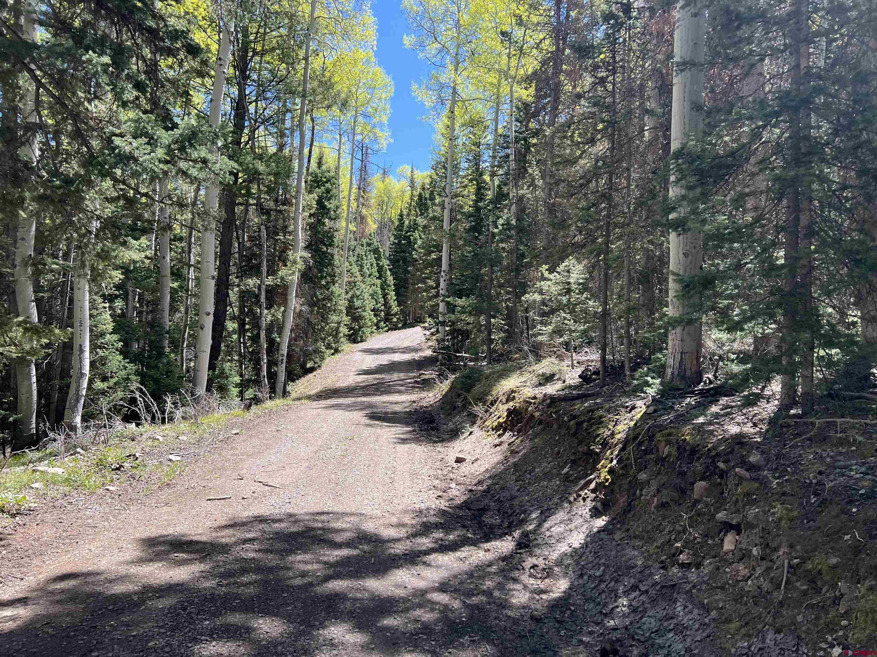 423 Rim Road Cimarron, CO 81220 - Photo 3 of 19 a view of a trees with yard