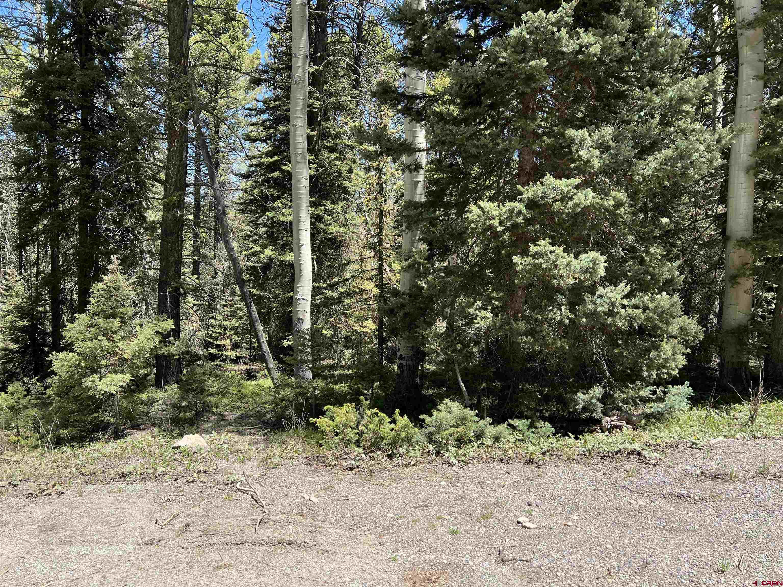 423 Rim Road Cimarron, CO 81220 - Photo 4 of 19 a view of outdoor space and yard