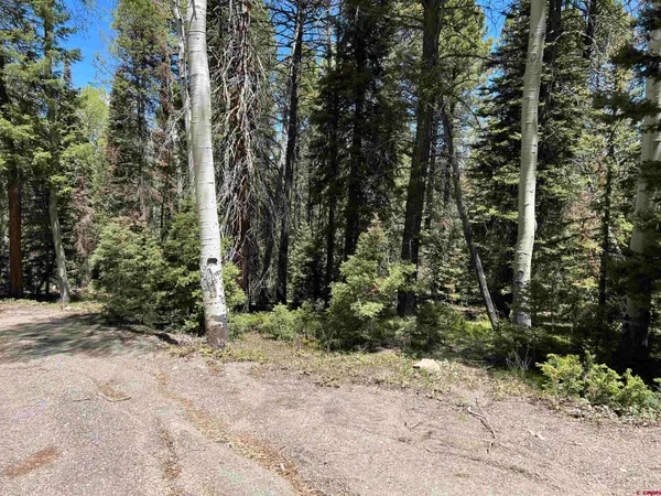 a view of a yard with plants and trees