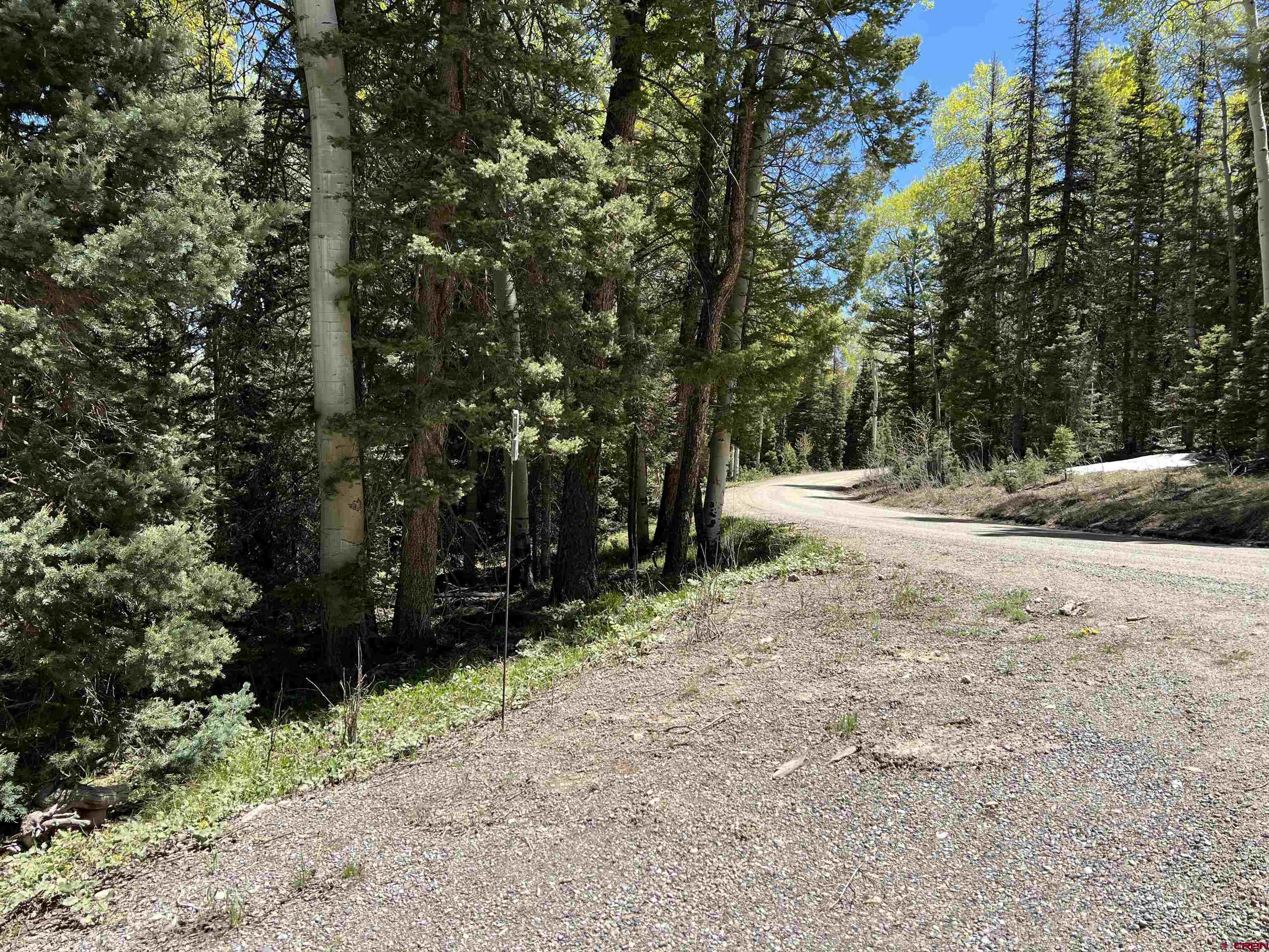 423 Rim Road Cimarron, CO 81220 - Photo 6 of 19 a view of a yard with plants and trees