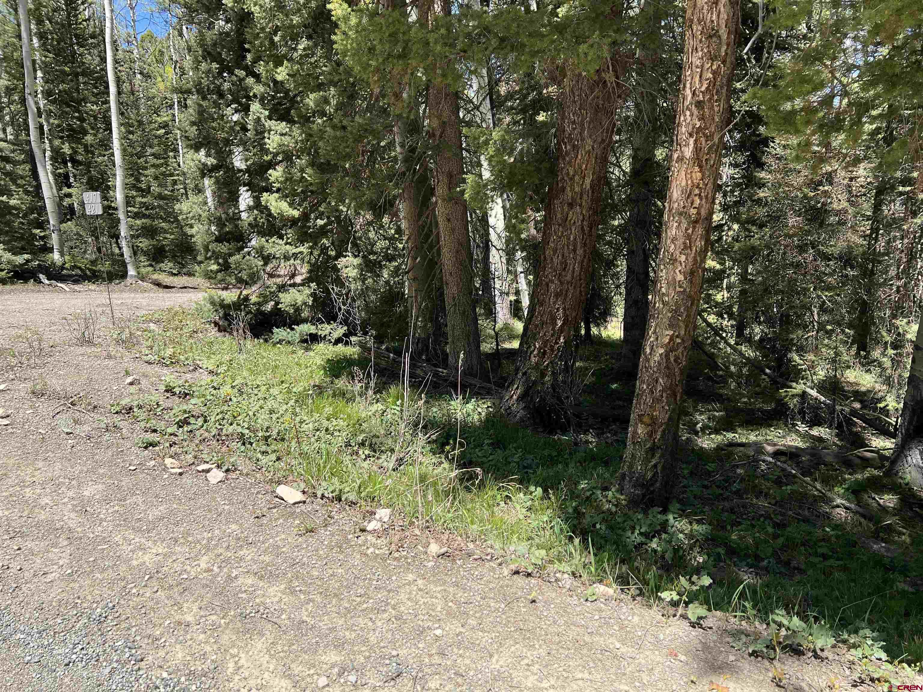 423 Rim Road Cimarron, CO 81220 - Photo 7 of 19 a view of forest