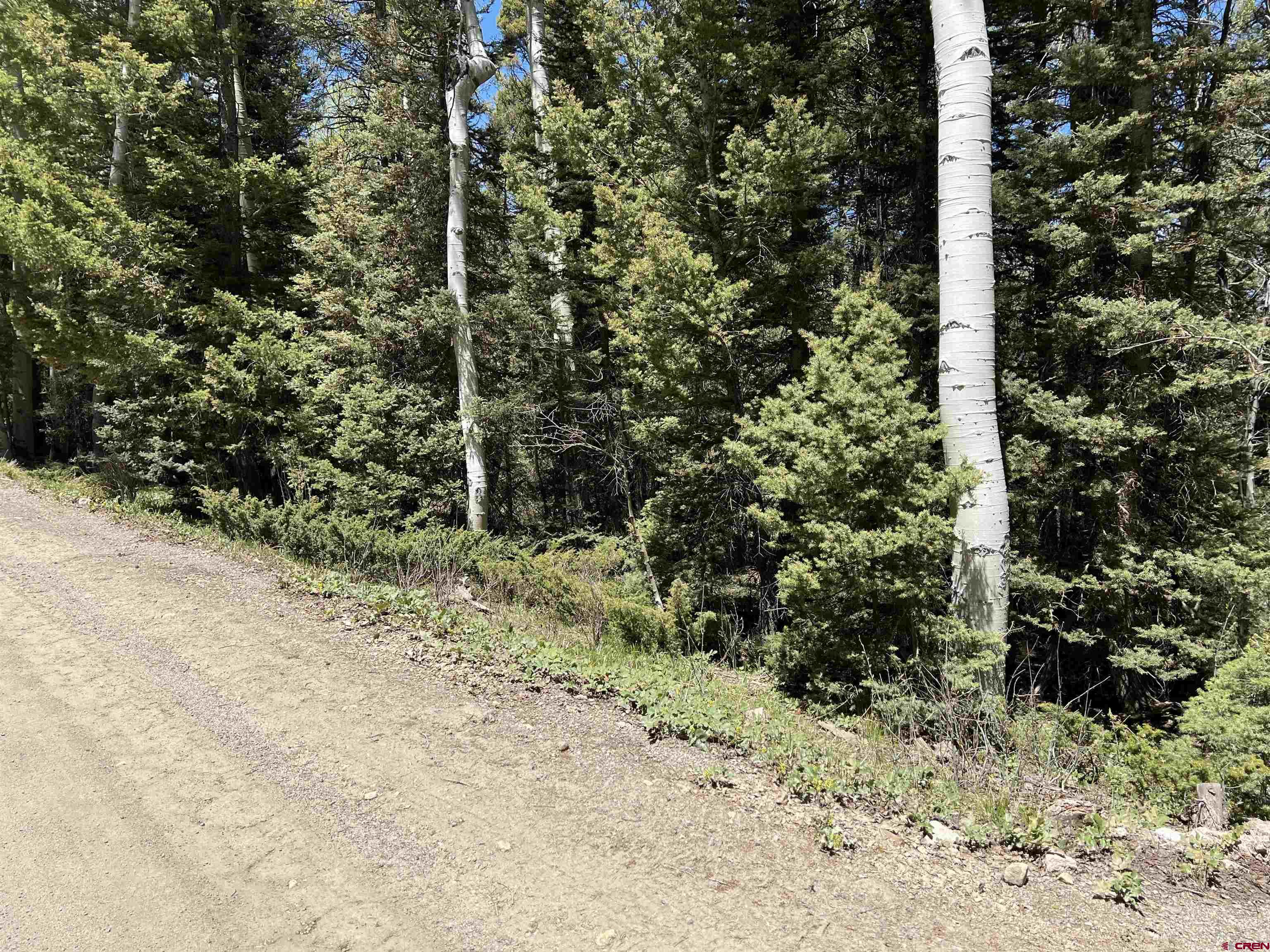 423 Rim Road Cimarron, CO 81220 - Photo 10 of 19 a view of a forest with trees