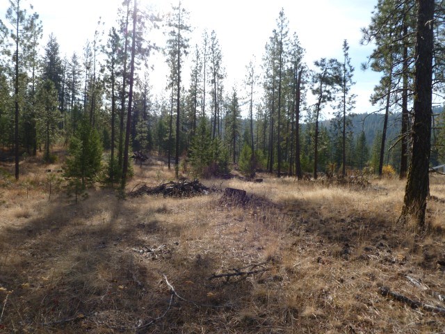 5077 Rail Canyon Road Springdale, WA 99173 - Photo 2 of 7