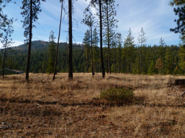 5077 Rail Canyon Road Springdale, WA 99173 - Photo 3 of 7