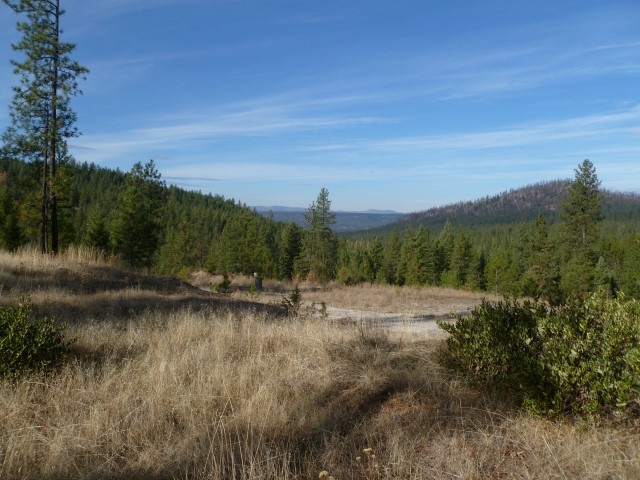 5077 Rail Canyon Road Springdale, WA 99173 - Photo 6 of 7