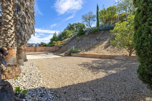 a view of a yard with plants and trees