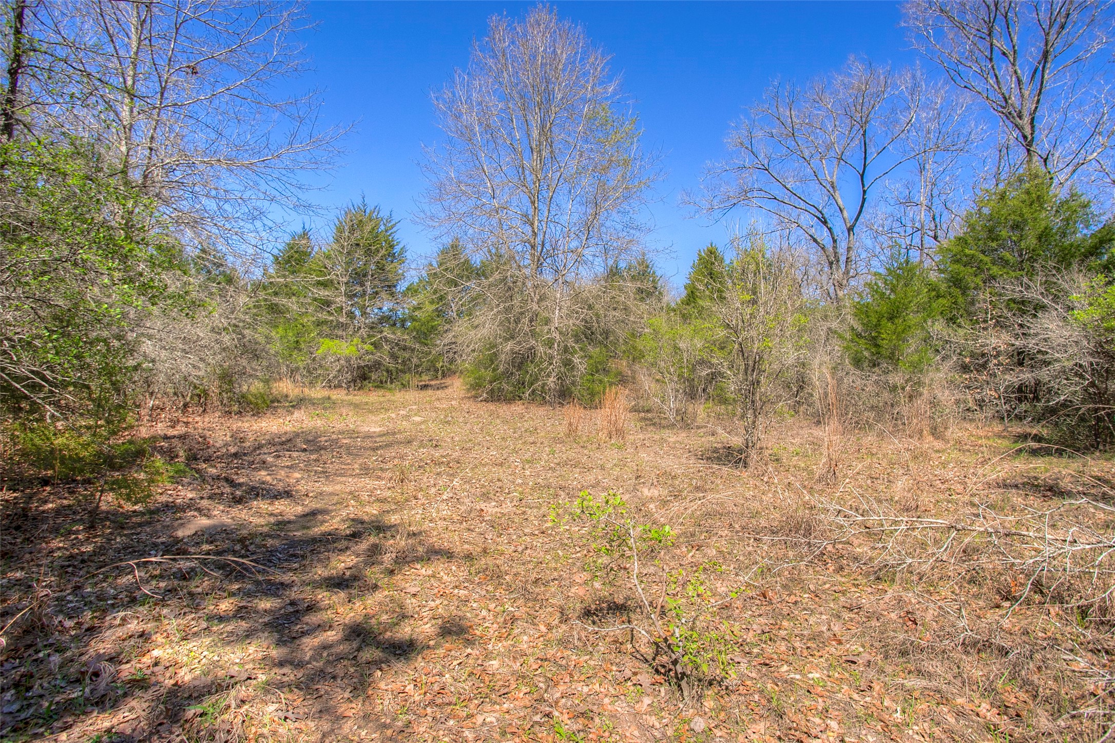 482 County Road 482 Normangee, TX 77871 - Photo 16 of 49