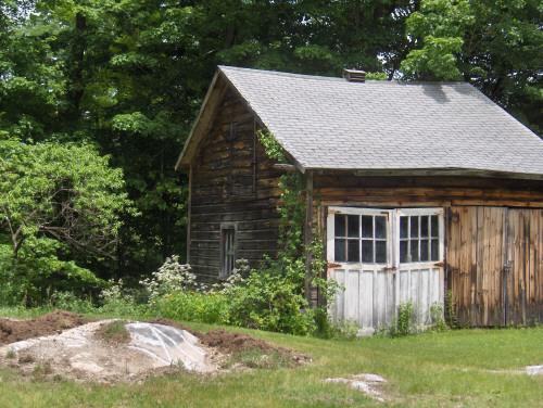 54 Under Mountain Road Lenox, MA 01240 - Photo 8 of 8 a view of backyard with potted plants and large tree