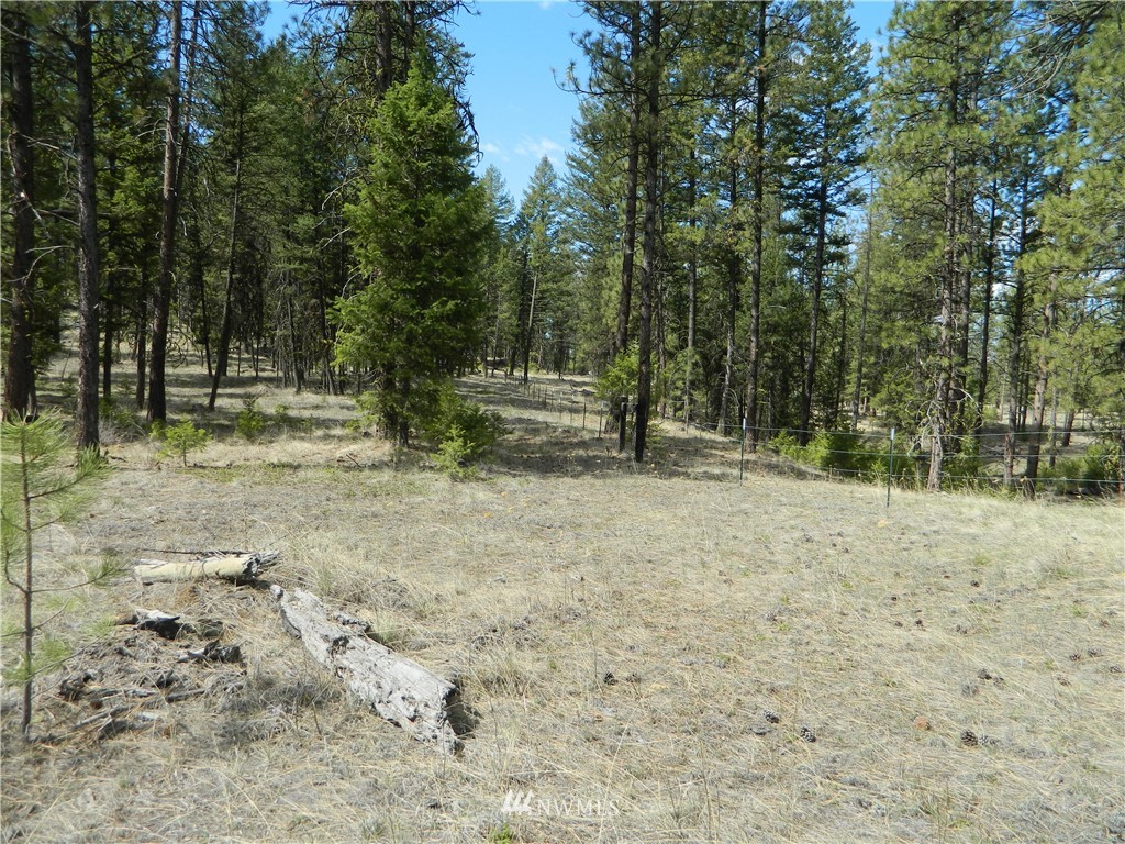 132 Squirrel Road Tonasket, WA 98855 - Photo 1 of 14 Gallery Image 1