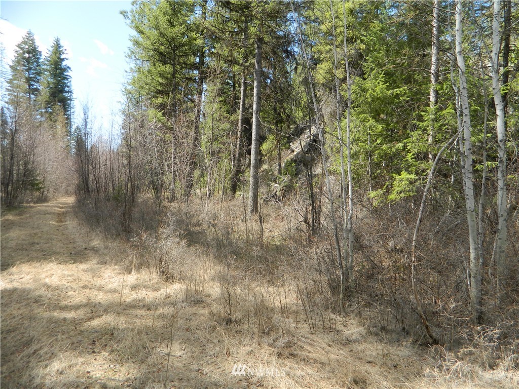 132 Squirrel Road Tonasket, WA 98855 - Photo 11 of 14 Gallery Image 11
