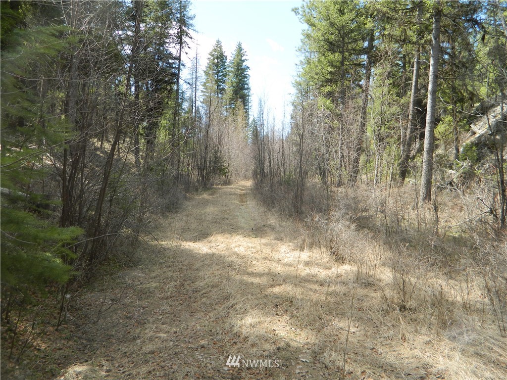 132 Squirrel Road Tonasket, WA 98855 - Photo 12 of 14 Gallery Image 12