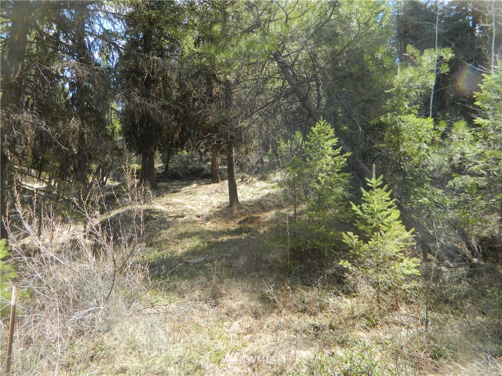132 Squirrel Road Tonasket, WA 98855 - Photo 13 of 14 Gallery Image 13