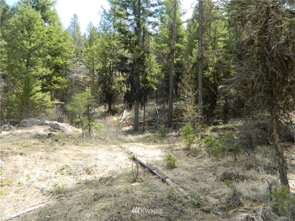 132 Squirrel Road Tonasket, WA 98855 - Photo 14 of 14 Gallery Image 14