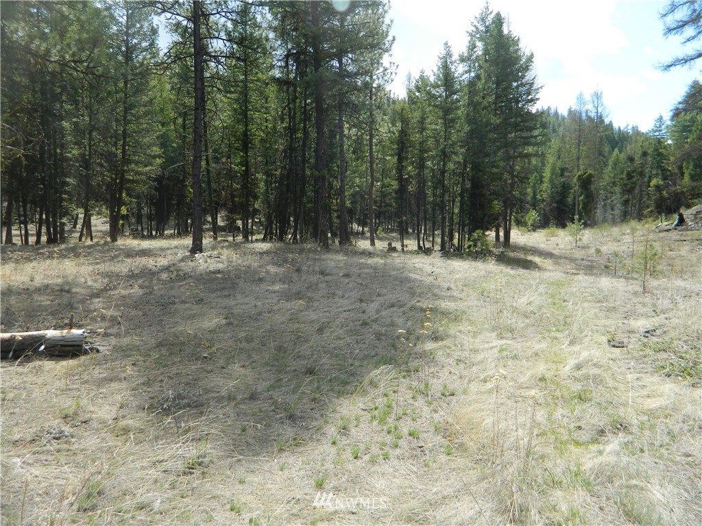 132 Squirrel Road Tonasket, WA 98855 - Photo 3 of 14 Gallery Image 3